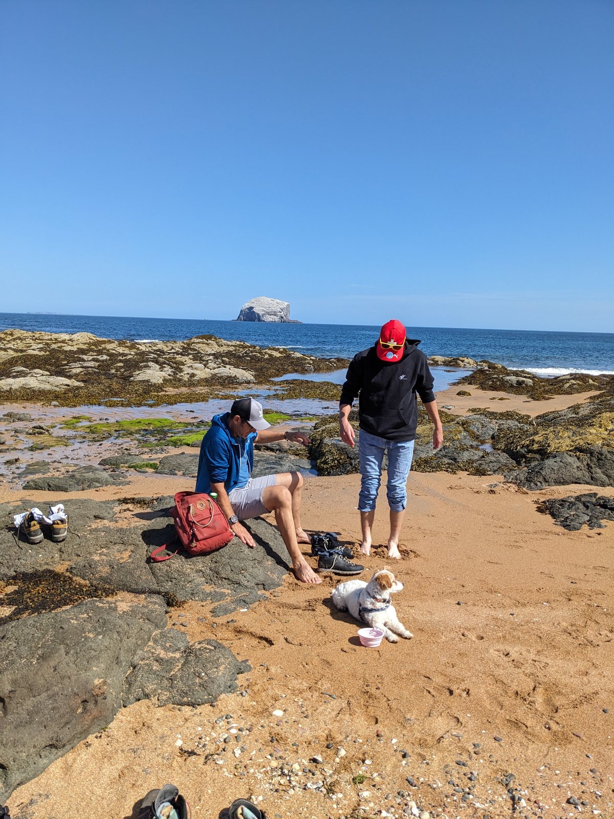 Rock pools at low tide on the North Berwick shore.