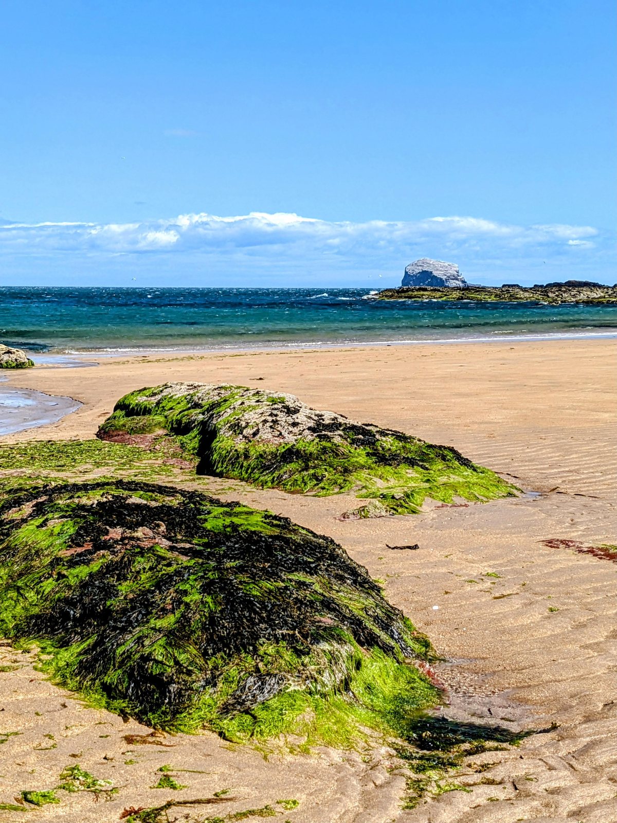 A boulder on the sand with the Bass Rock out to sea, North Berwick.