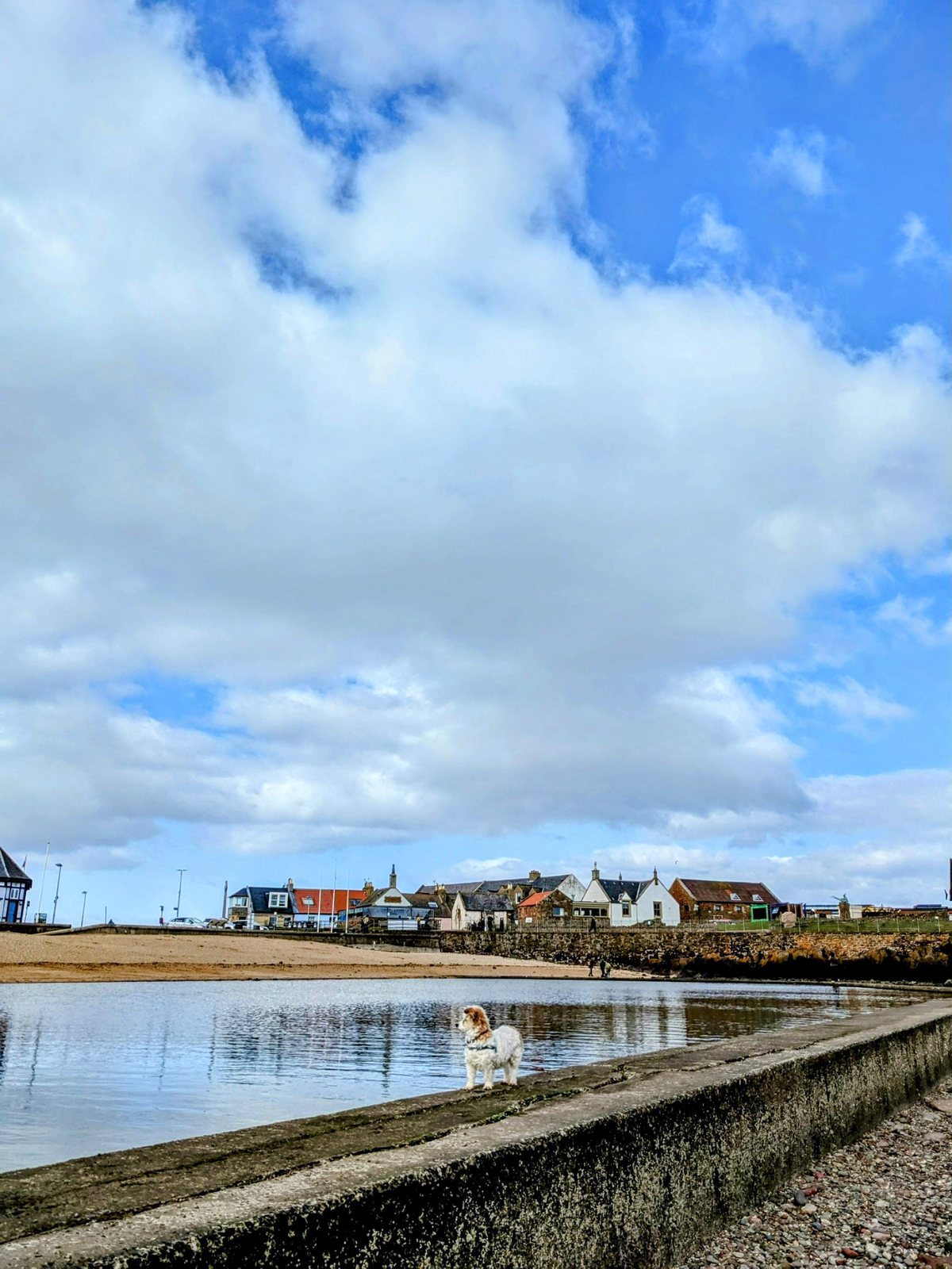 The old outdoor tidal pool by North Berwick harbour.