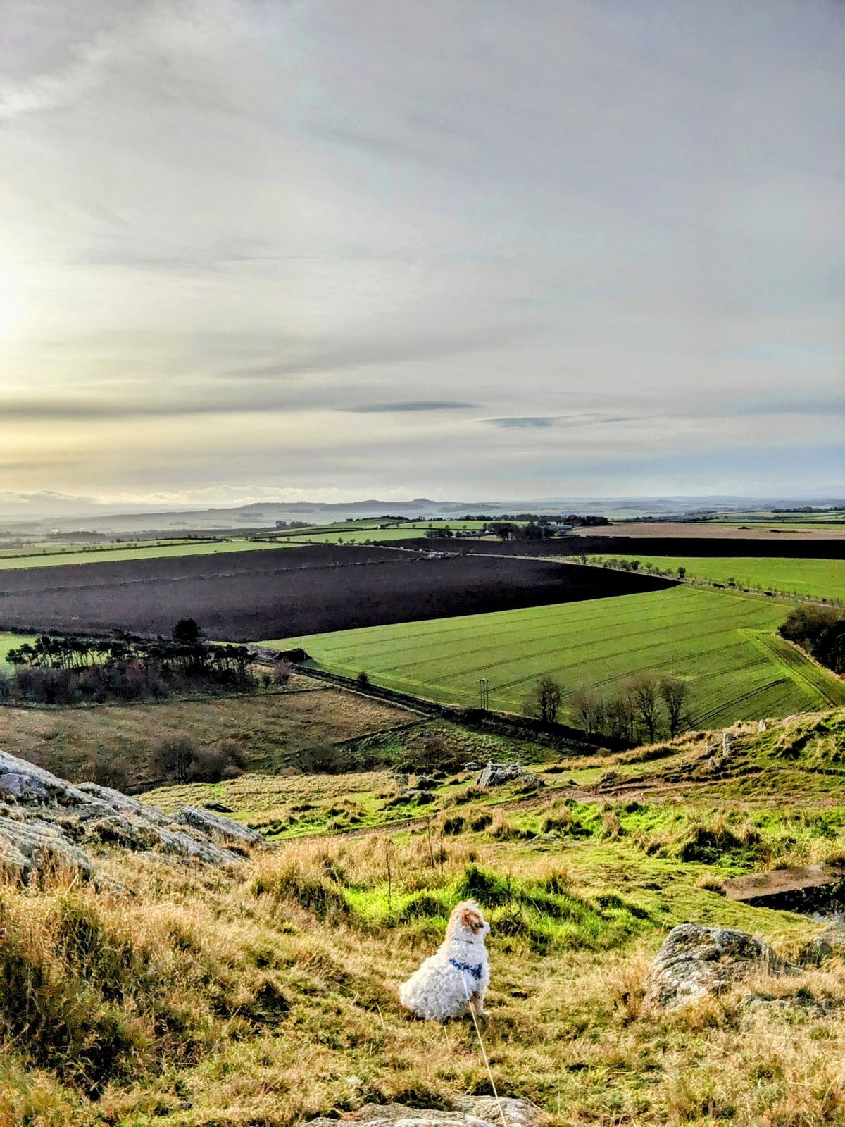 Dusk over the town from North Berwick Law.