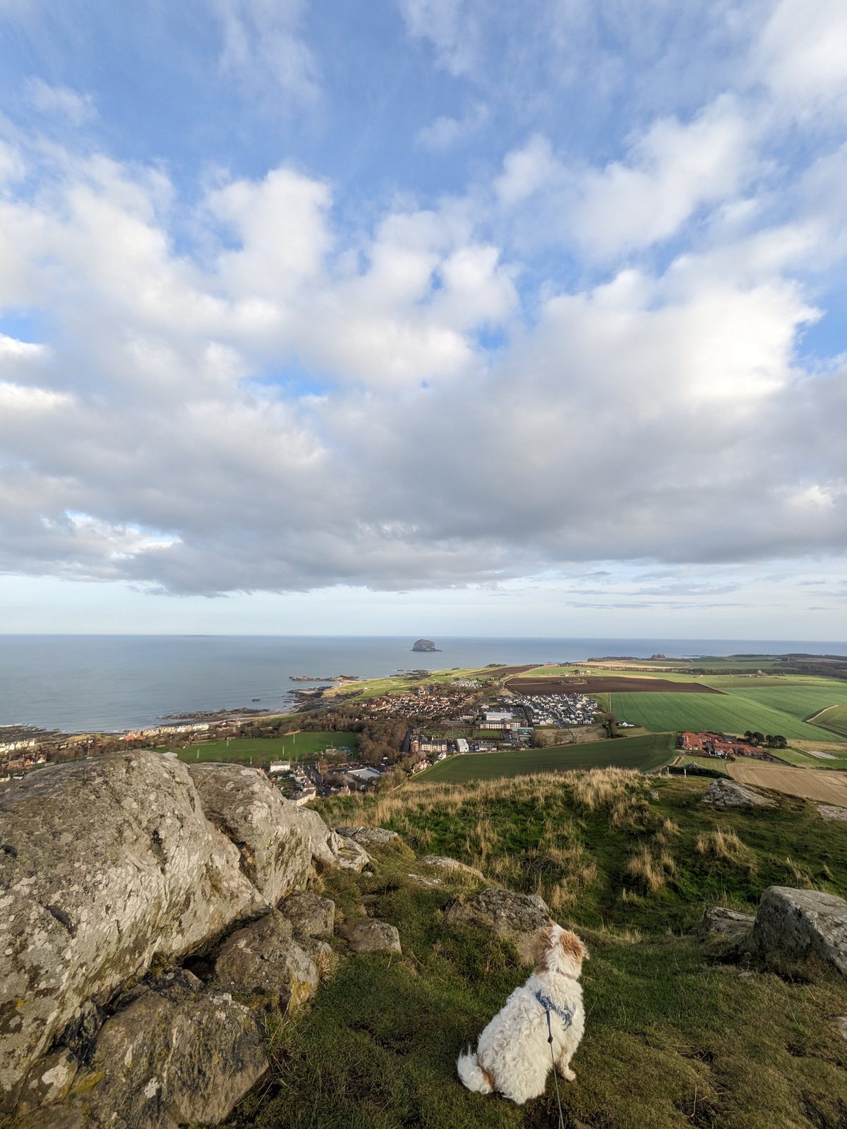 Looking down the steep side of North Berwick Law.