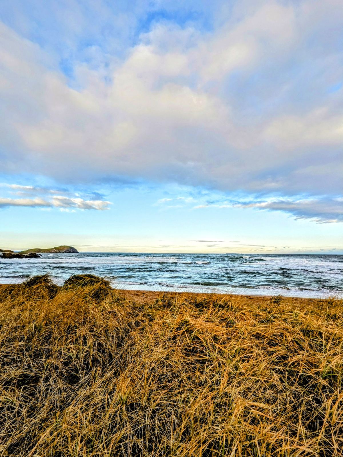 Golden winter dune grass on the North Berwick coast with Bass Rock and islands out in the Firth of Forth.