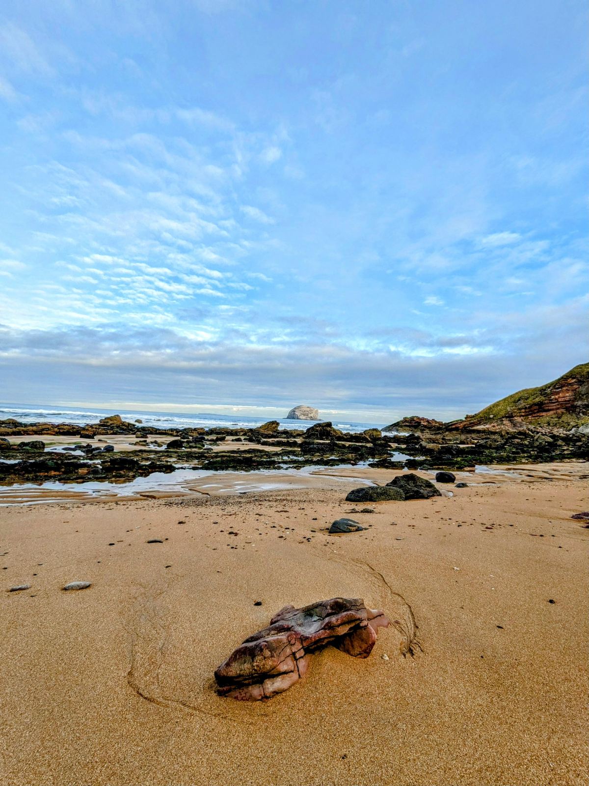 A wide North Berwick beach at low tide with a green-topped rocky island offshore and a big blue sky.