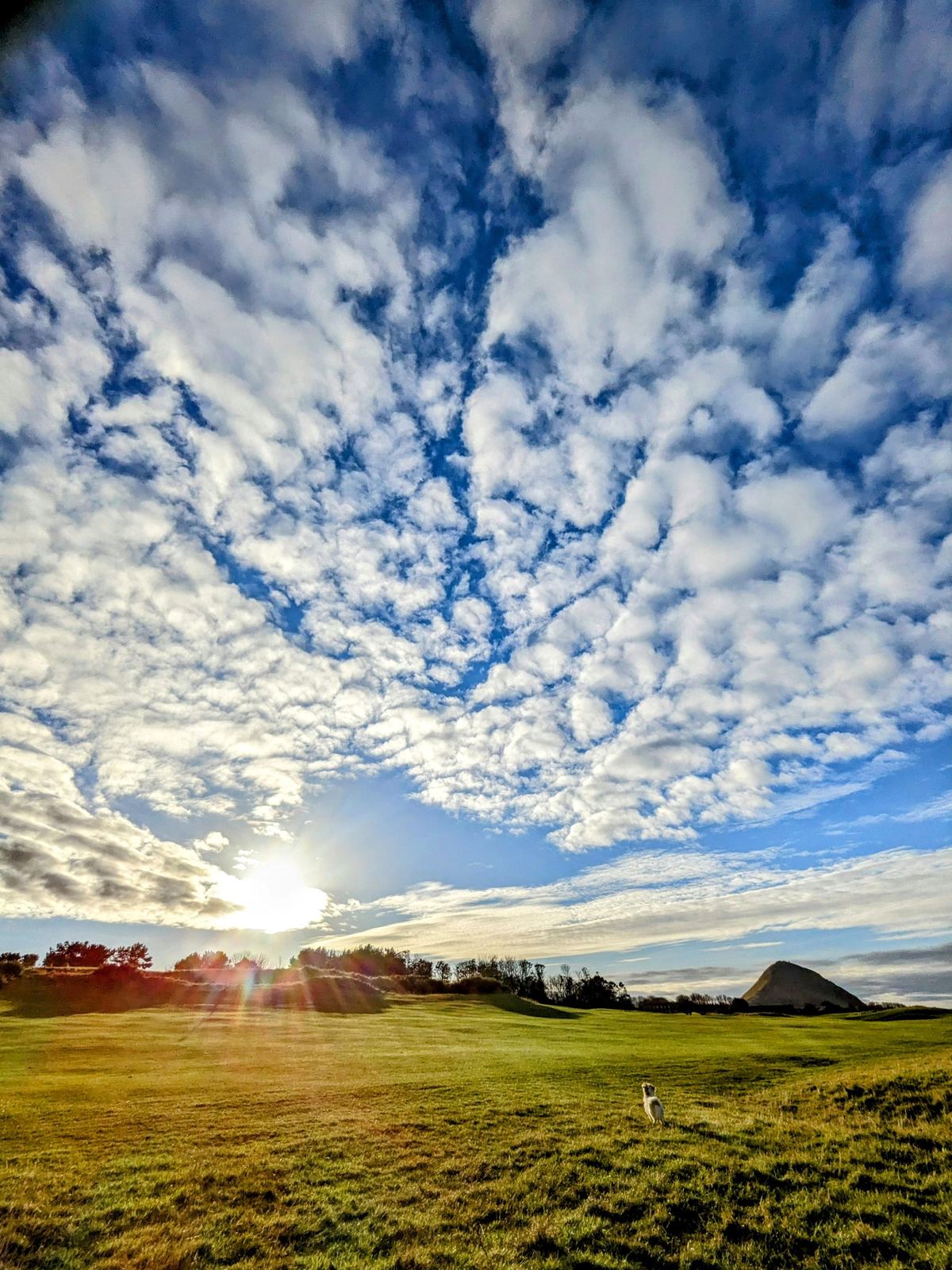A dramatic mackerel sky of rippled clouds lit by a low sun over the North Berwick coast.