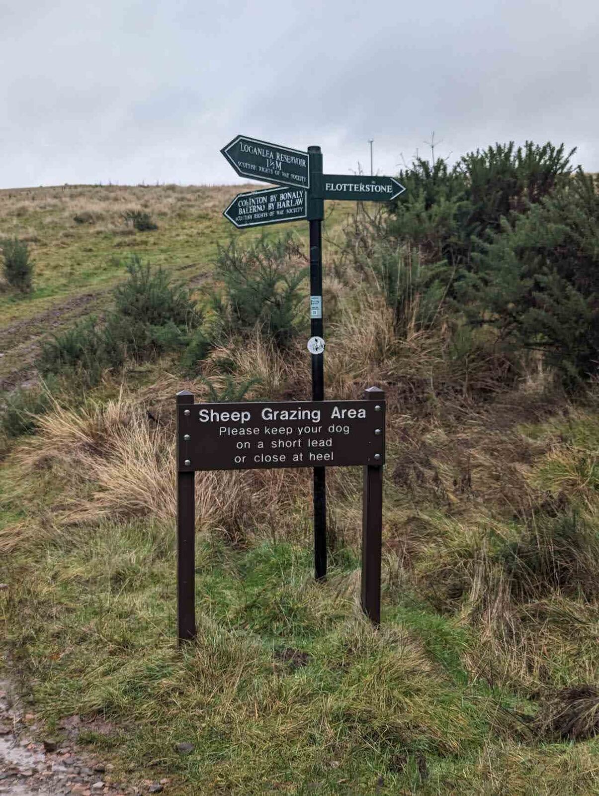 A fingerpost and a Sheep Grazing Area sign on an open, grassy shoulder of the Pentland Hills.