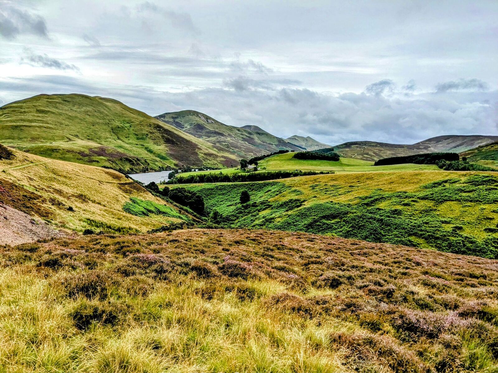 Reservoir and heather in the Pentland Hills