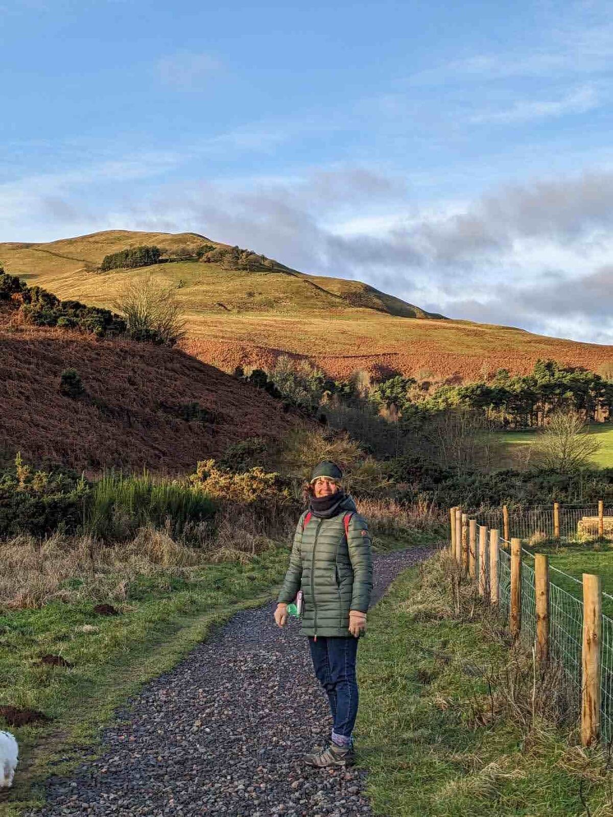 A walker heading up a grassy path into the Pentland Hills on a bright winter day, low sun on the golden hillsides.