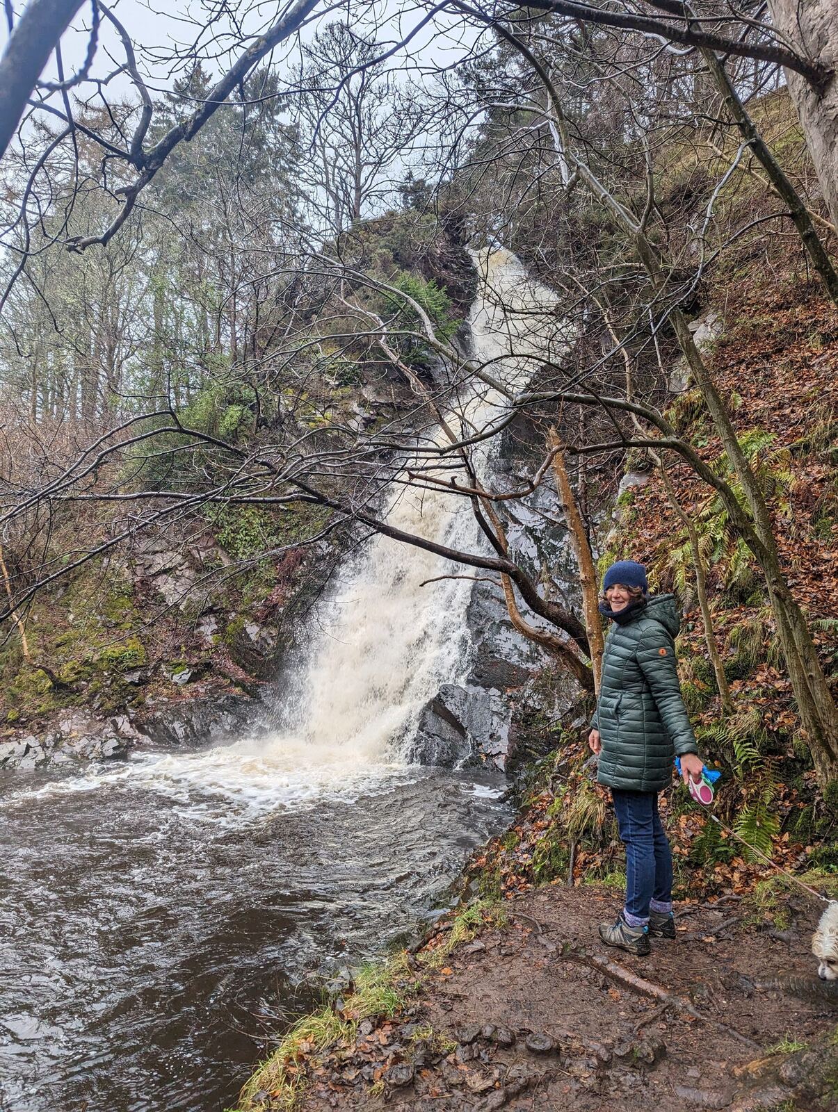 A waterfall in full winter spate crashing down a rocky burn in the Pentland Hills, a walker in a green jacket standing beside it among bare trees.