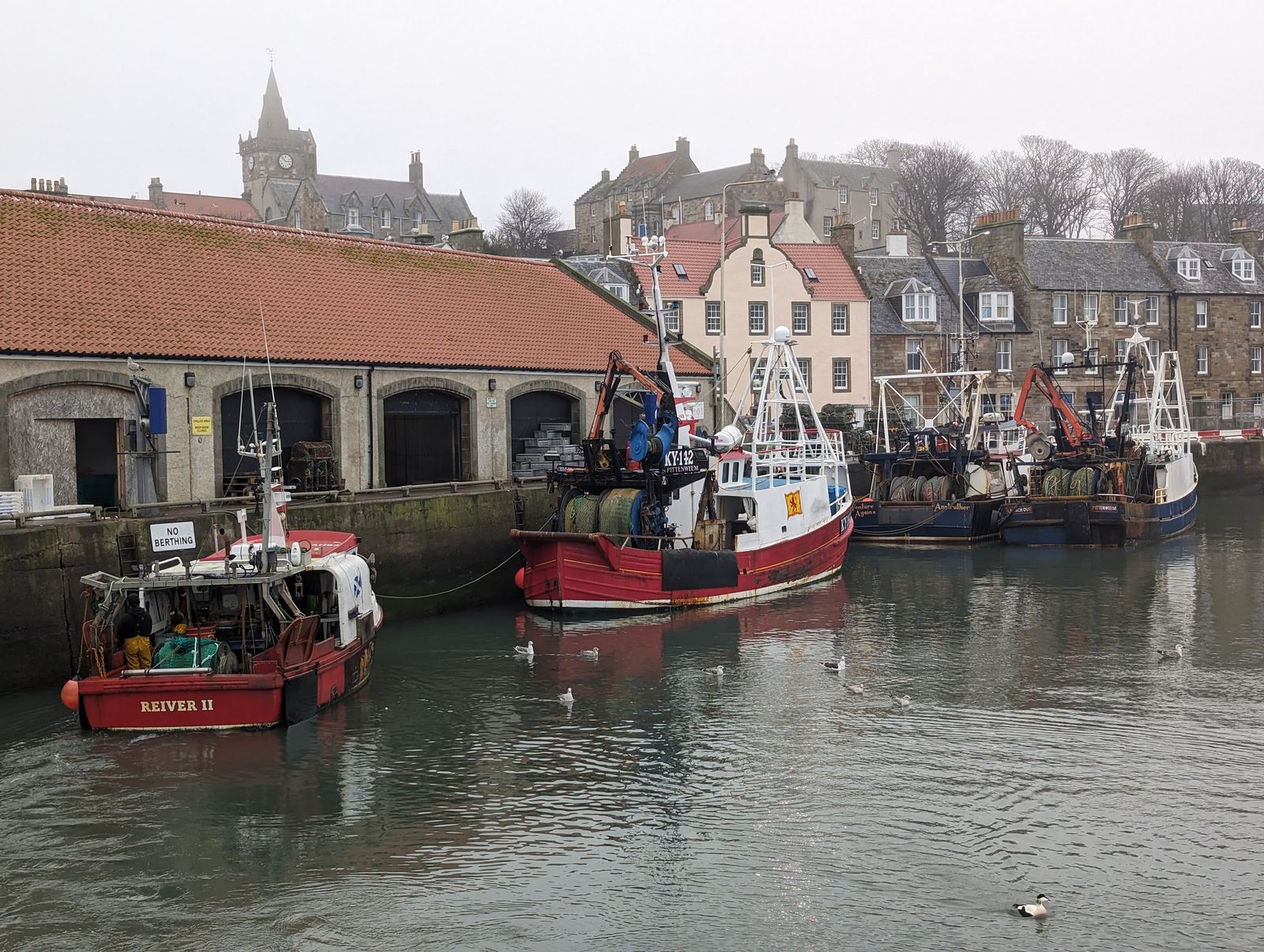 Fishing boats moored beside the fish market at Pittenweem harbour