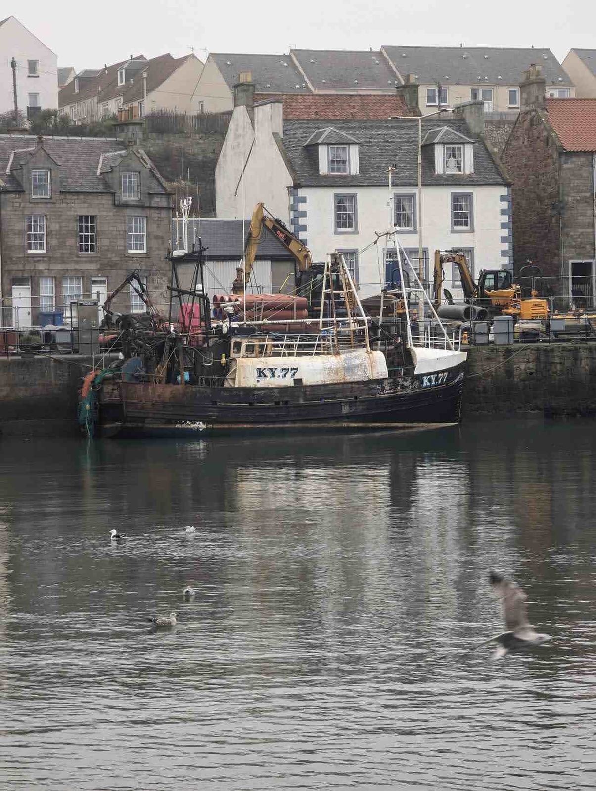 A fishing boat and the crow-stepped houses above Pittenweem harbour