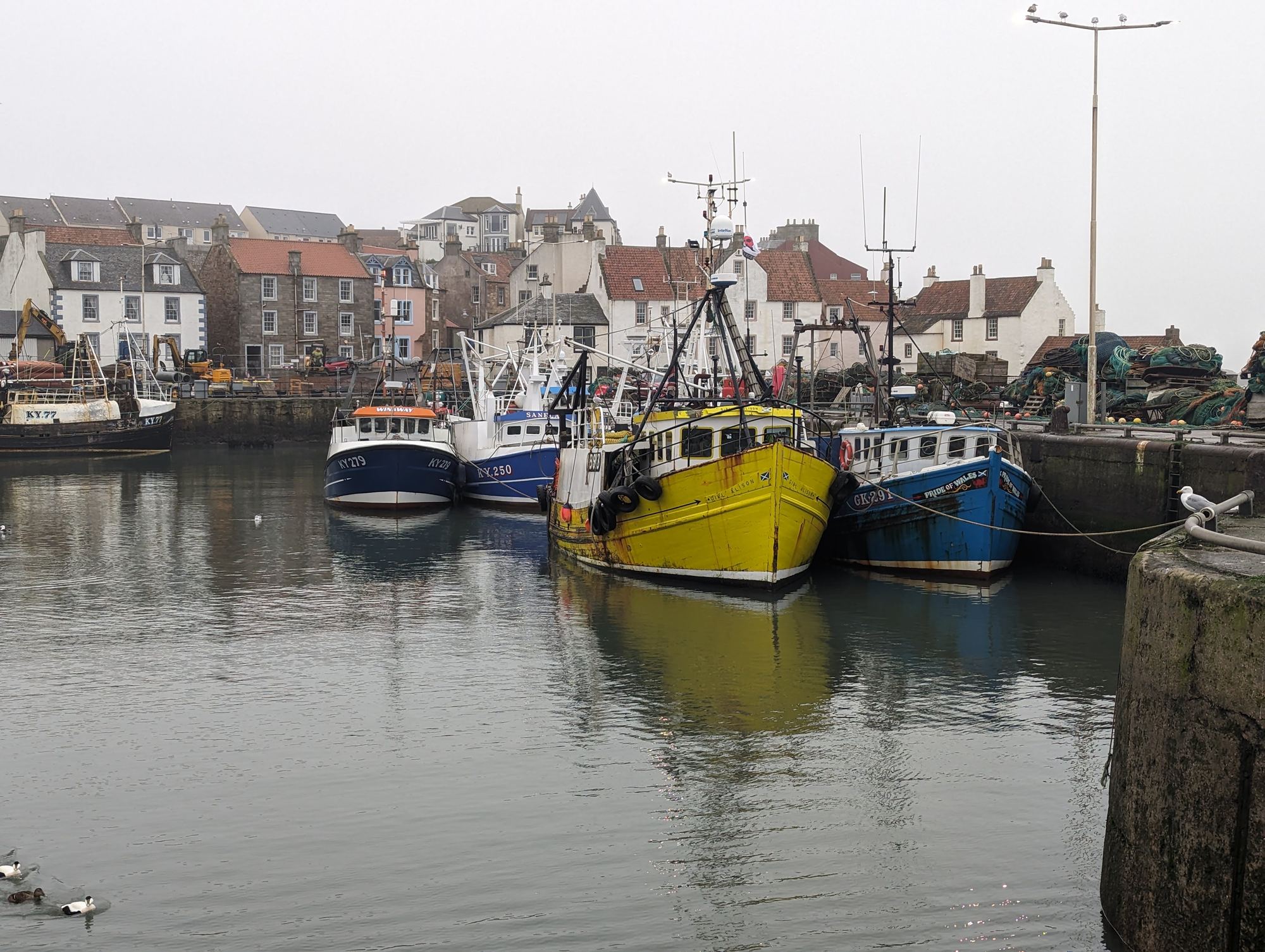 Pittenweem harbour packed with fishing boats, the village rising behind