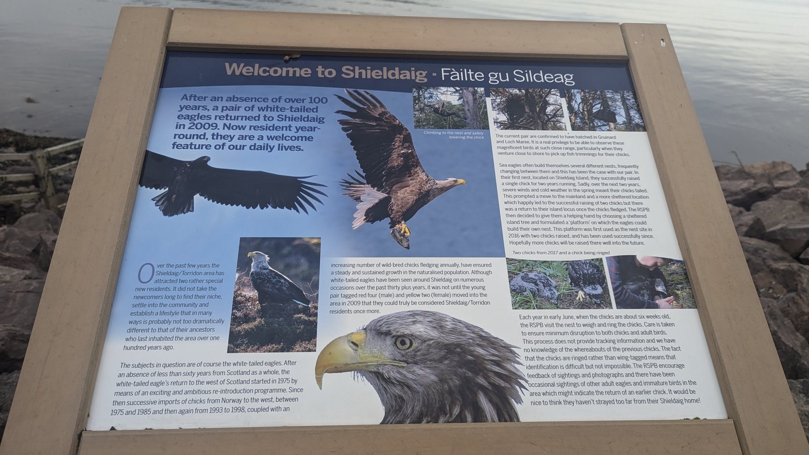 A sea eagle interpretation board at Shieldaig.