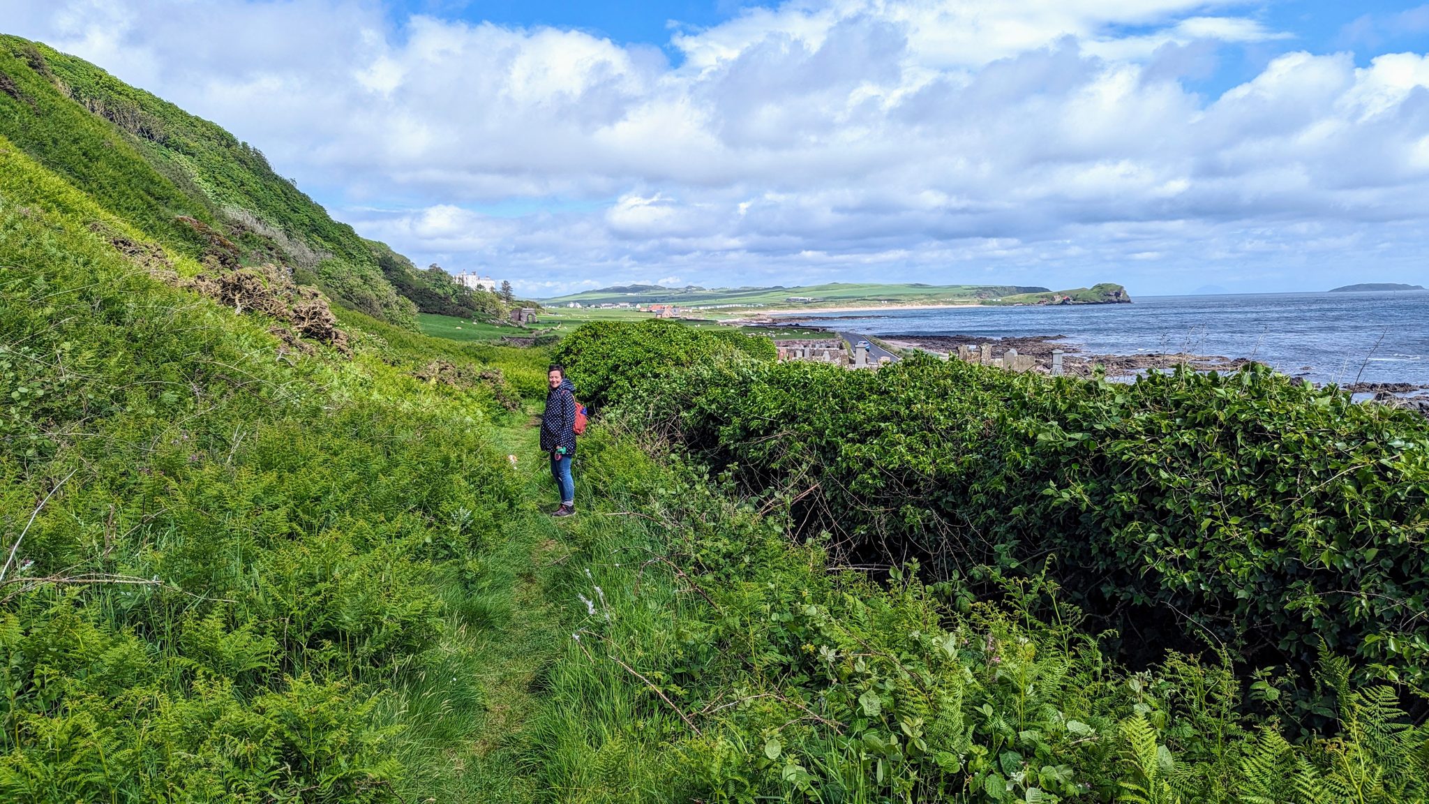 A walker and dog on the coast path through greenery at Southend, Kintyre, the village and bay beyond.