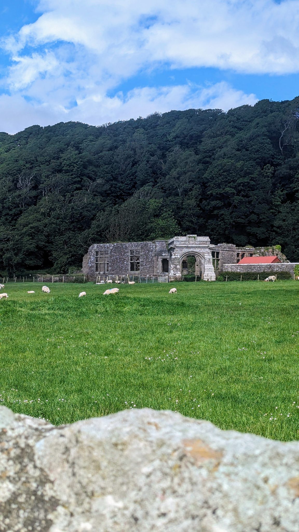 The roofless stone ruin of the old Keil church in a green field of sheep near Southend, wooded hill behind.
