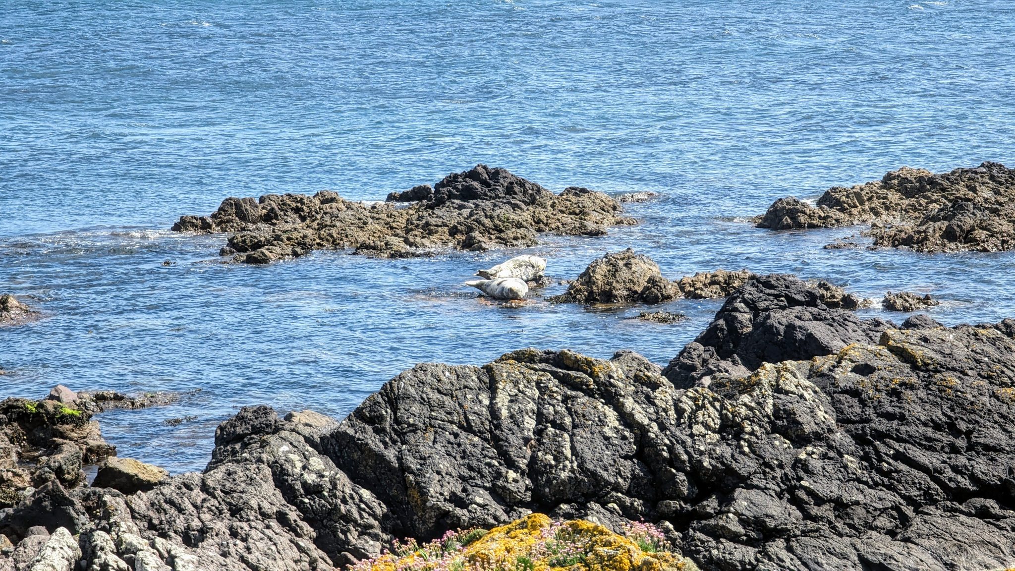 The rocky foreshore and clear sea at Southend, Kintyre, on a bright day.