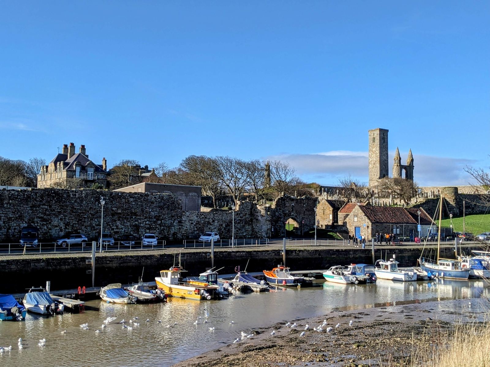 St Andrews harbour with fishing boats, St Rule's Tower and the cathedral ruins behind.