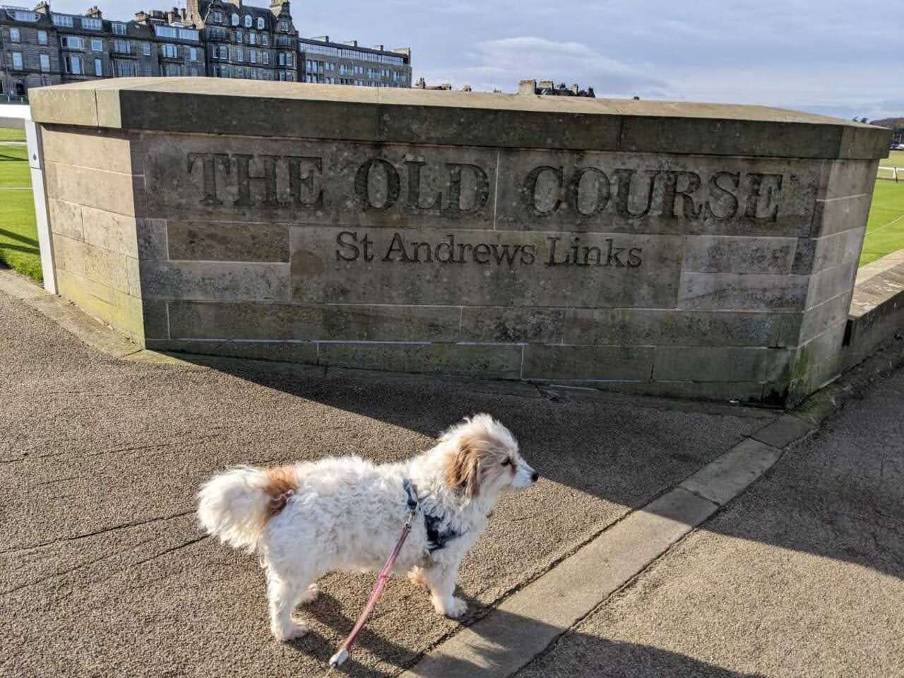 The 'Old Course, St Andrews Links' stone sign, with Lillie the dog beside it.