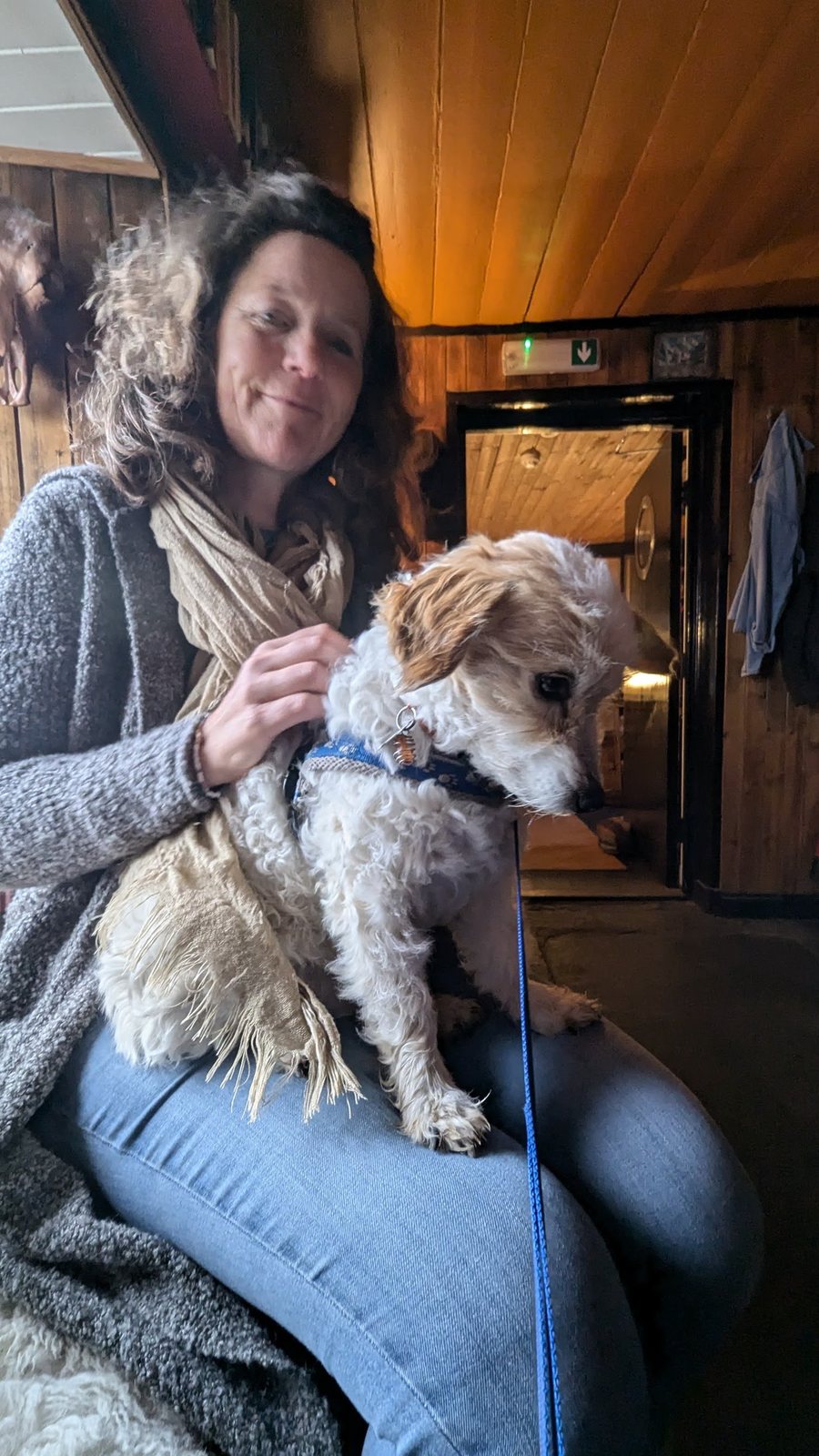 Lillie the dog inside the Stein Inn.