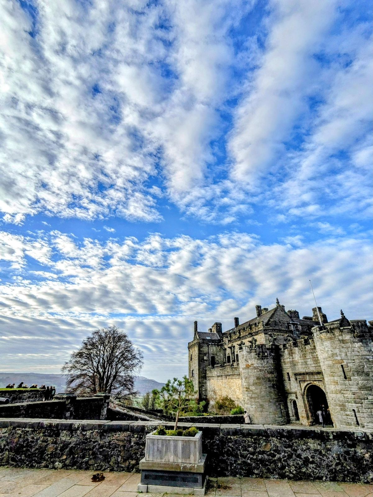 The honey-coloured stone of Stirling Castle's Renaissance palace and gatehouse under a blue sky.