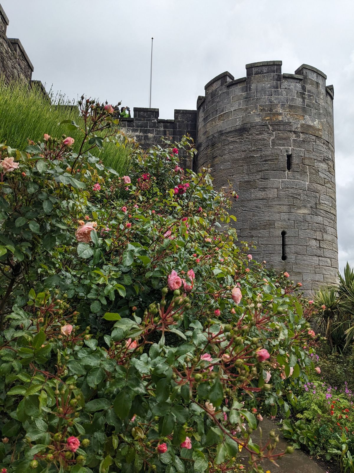 The curved stone ramparts and a round tower of Stirling Castle rising above green banks.