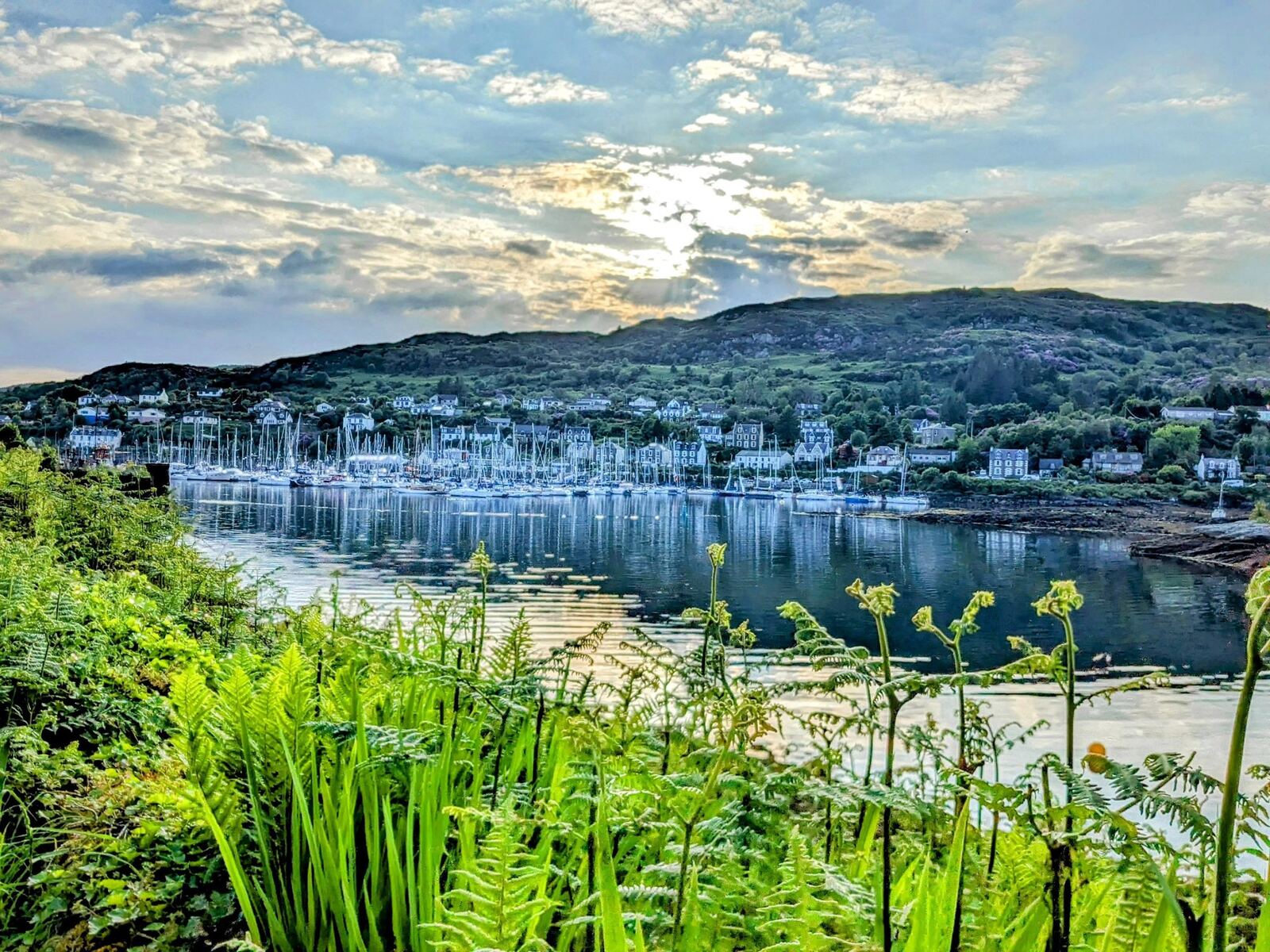 Tarbert