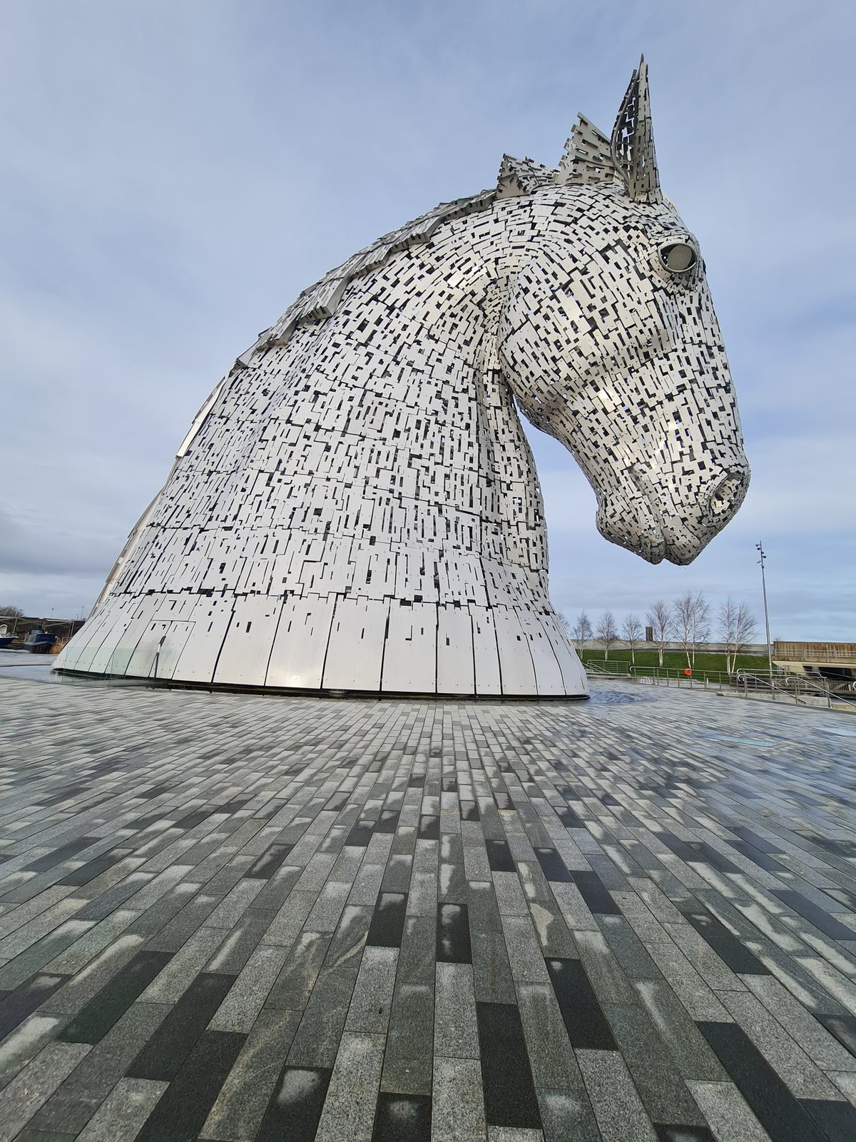 Looking up at a Kelpie from below.