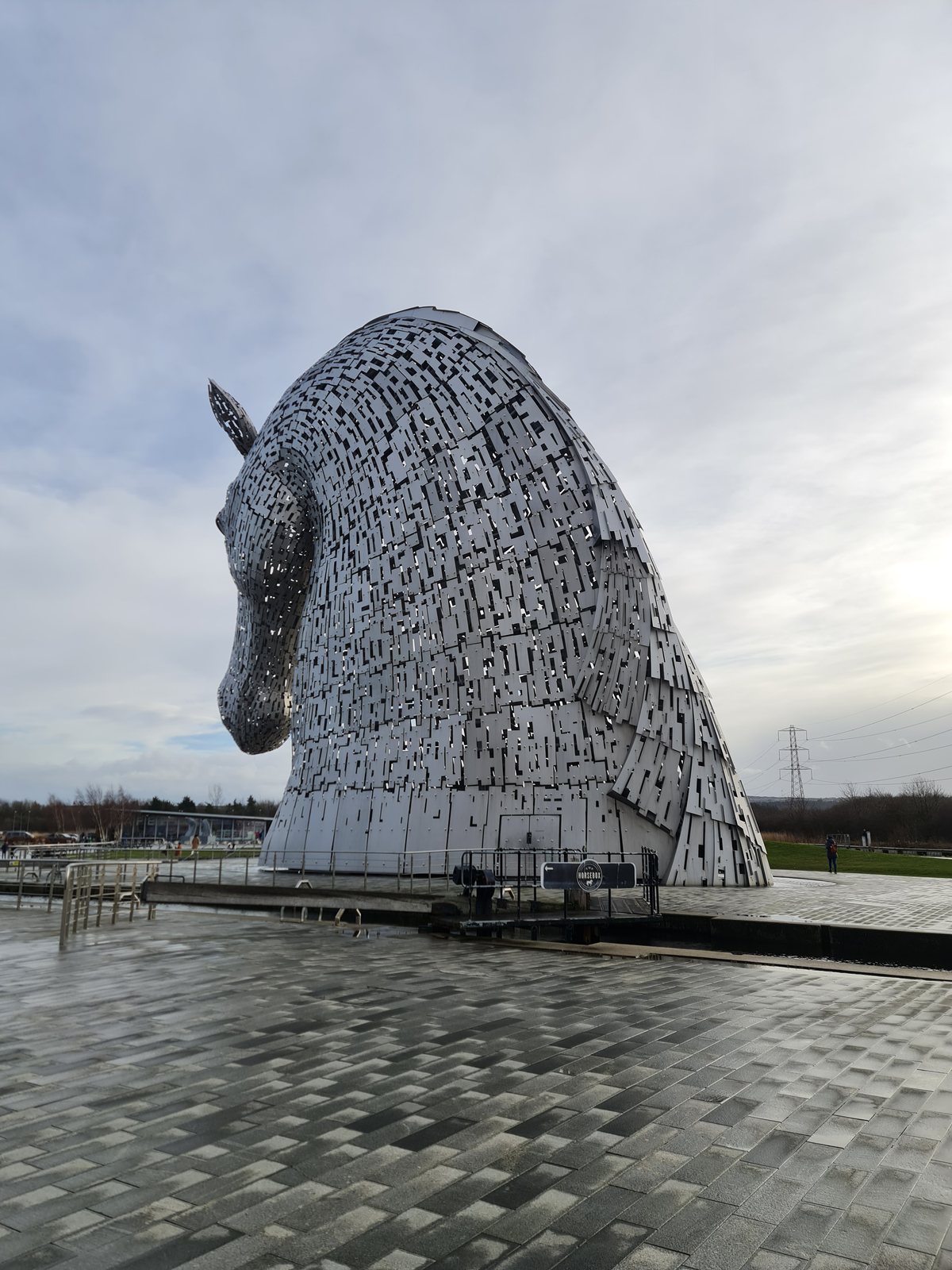 A Kelpie head against the sky.