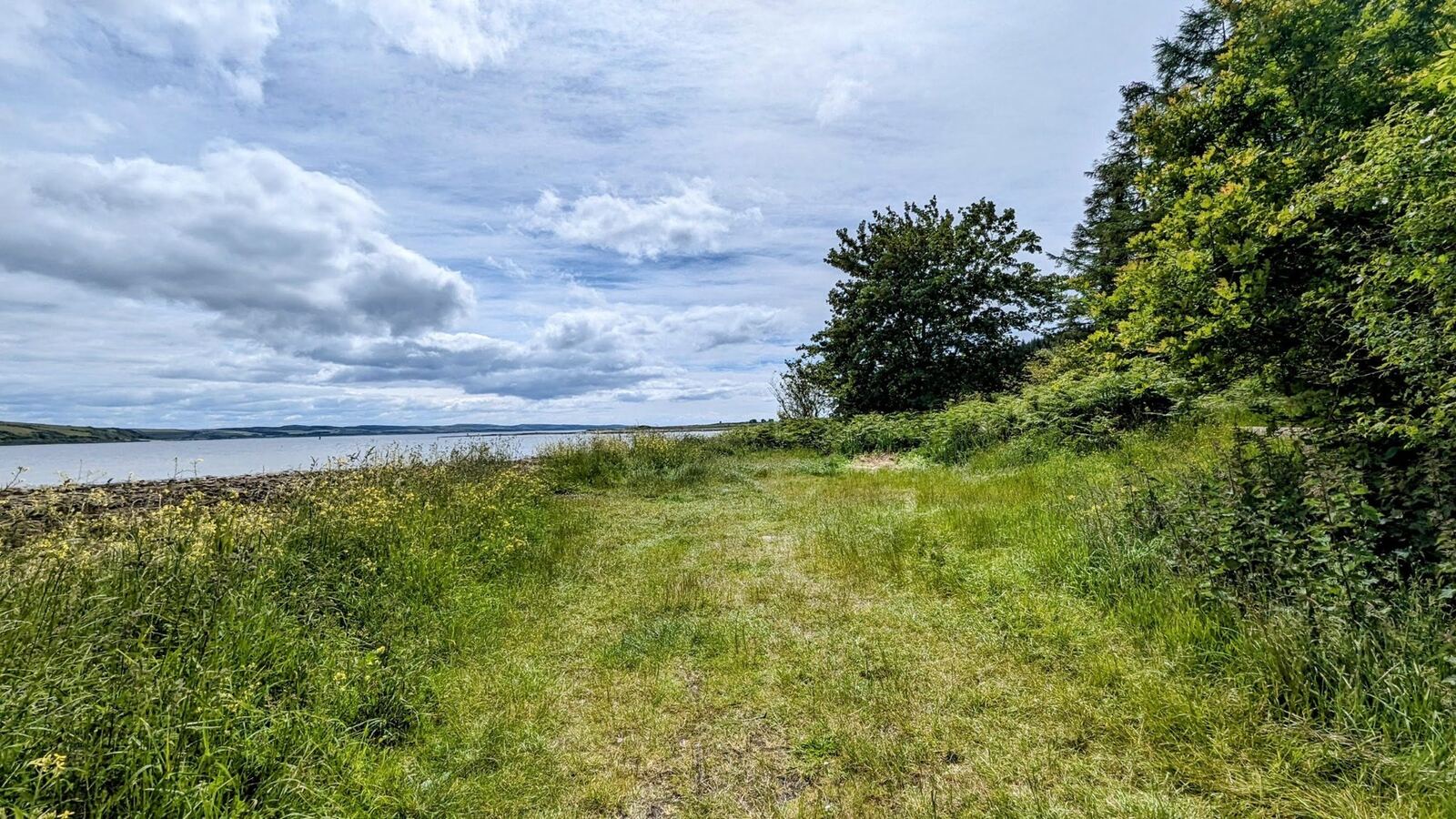 An open grassy clearing beside the shore road on the Kyles of Bute, looking out over calm water to the hills.