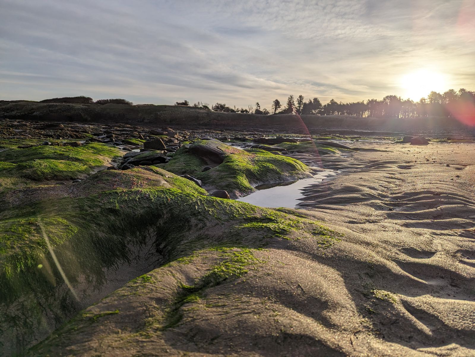 Mossy rocks and the estuary channel at Tyninghame beach.