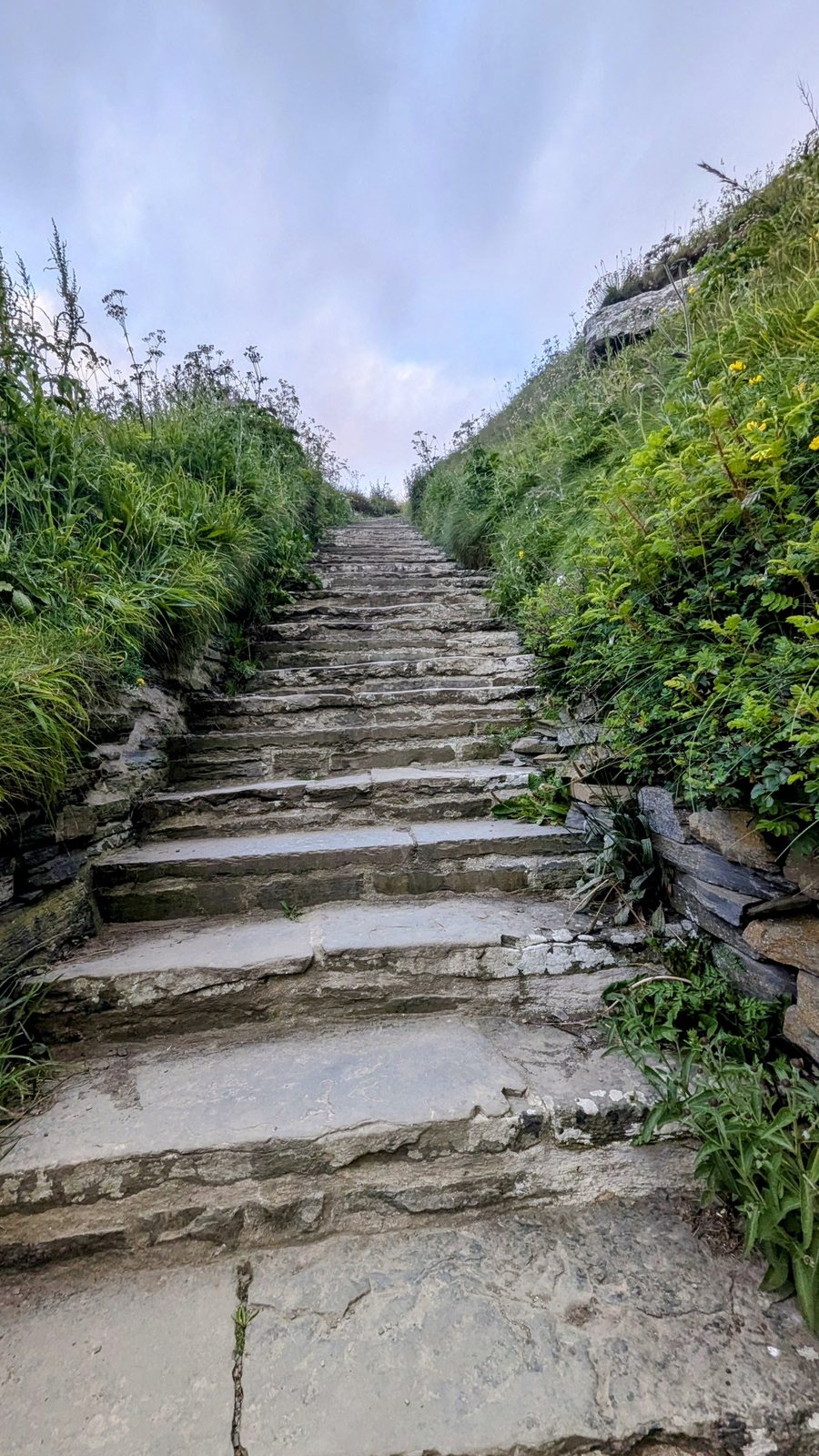 The flagstone steps climbing steeply up the grassy cliff at Whaligoe.